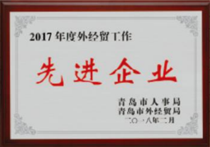 2017年度先进企业