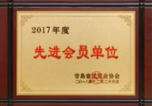 2017年度先进会员单位